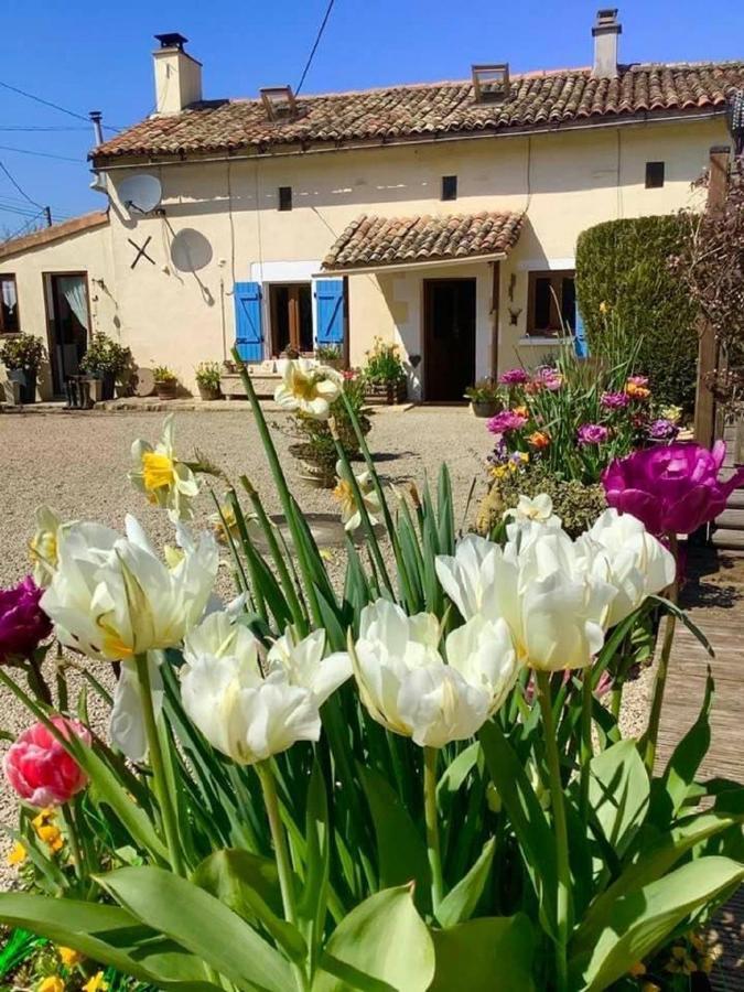 Natura Serena Chambre Bed And Breakfast Messé Extérieur photo
